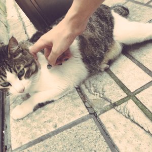 婚后1v1啪啪做H高甜
